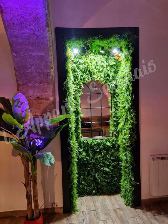 Appartement 70m2 avec jacuzzi privatif Salon-de-Provence Exterior foto
