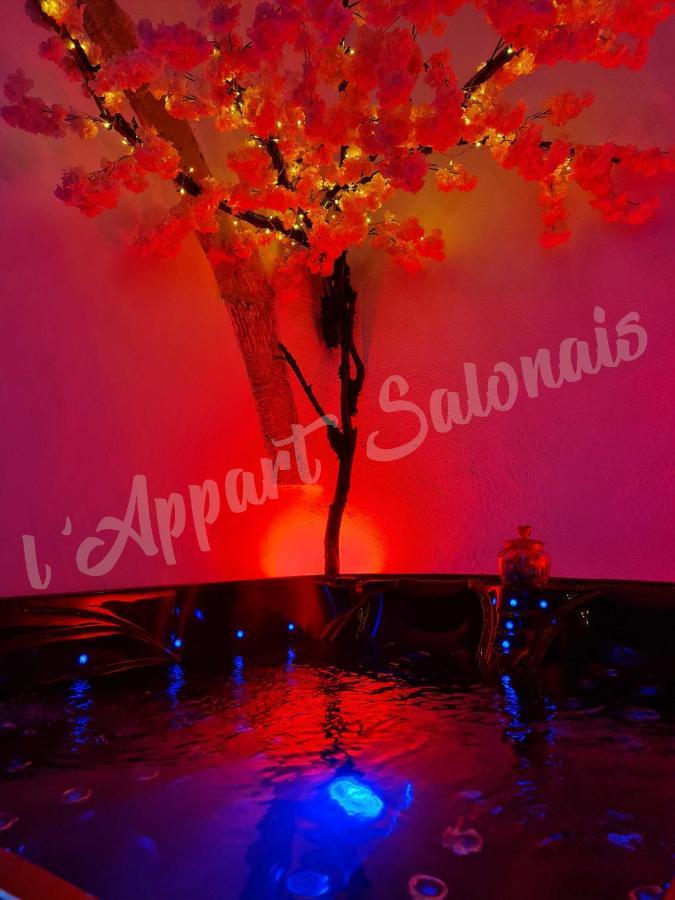 Appartement 70m2 avec jacuzzi privatif Salon-de-Provence Exterior foto